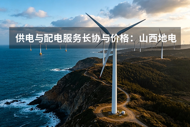 供电与配电服务长协与价格：山西地电建议