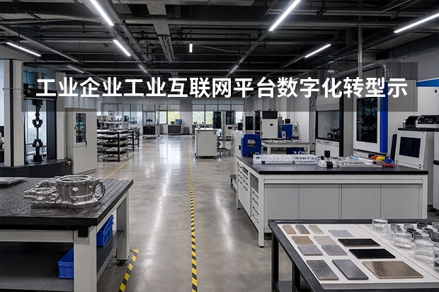 工业企业工业互联网平台/数字化转型示范项目申报指南：指标、流程与奖补