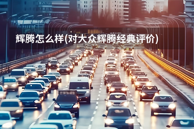 辉腾怎么样(对大众辉腾经典评价) 大众polo应该加多少号汽油
