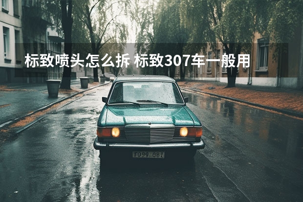 标致喷头怎么拆 标致307车一般用什么轮胎