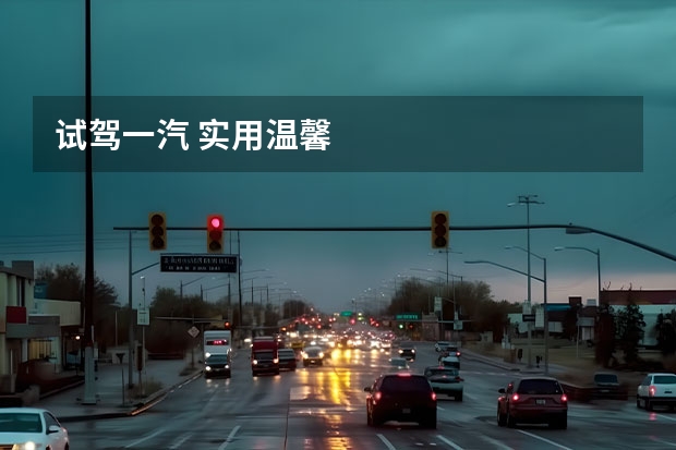 试驾一汽 实用温馨