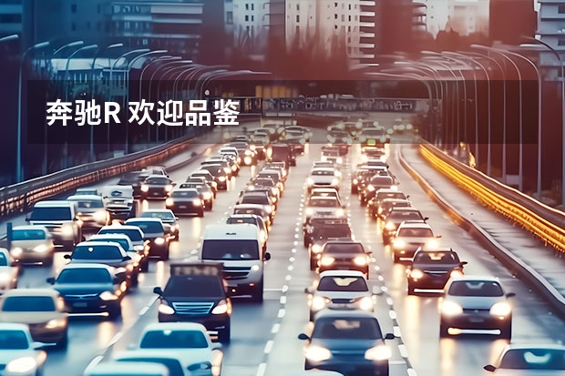 奔驰R 欢迎品鉴