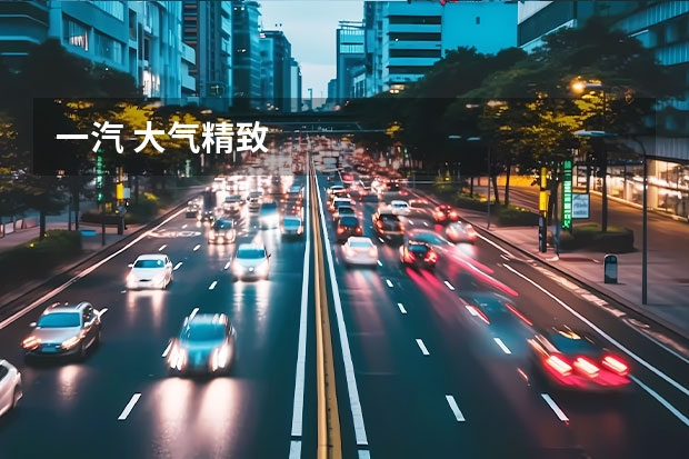 一汽 大气精致