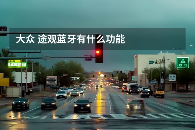 大众 途观蓝牙有什么功能