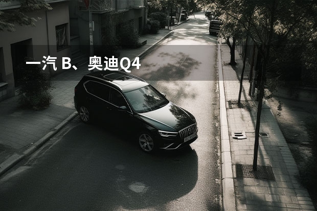 一汽 B、奥迪Q4