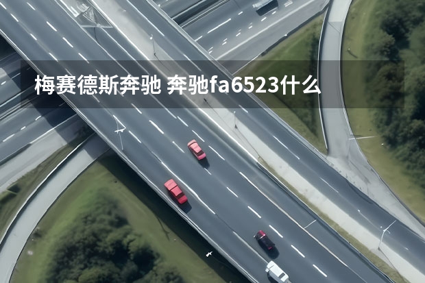梅赛德斯奔驰 奔驰fa6523什么车