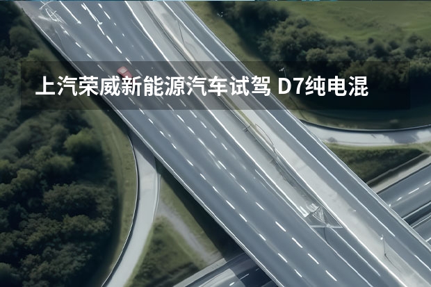 上汽荣威新能源汽车试驾 D7纯电/混动双车首秀，上汽荣威提速新能源赛道