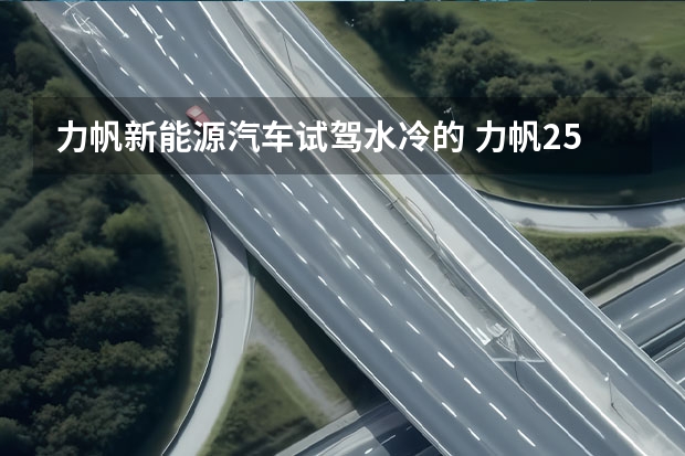 力帆新能源汽车试驾水冷的 力帆250级运动街车，座高790mm，油箱容积14L，单缸水冷极速130km