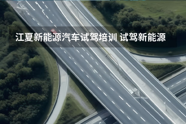江夏新能源汽车试驾培训 试驾新能源车型要驾照吗