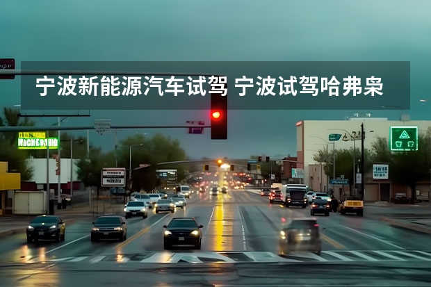 宁波新能源汽车试驾 宁波试驾哈弗枭龙系列 跑得远用着省越野狠