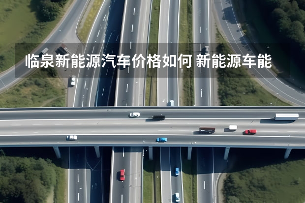 临泉新能源汽车价格如何 新能源车能不能买？