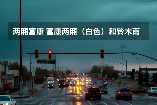 两厢富康 富康两厢（白色）和铃木雨燕（红色）那辆车更好些？