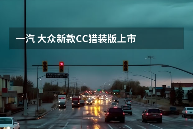 一汽 大众新款CC/猎装版上市