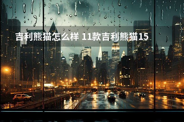 吉利熊猫怎么样 11款吉利熊猫1.5自动挡值得买吗?