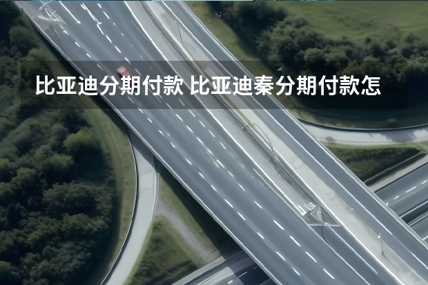 比亚迪分期付款 比亚迪秦分期付款怎么办理