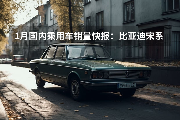 1月国内乘用车销量快报：比亚迪宋系列再夺冠军 3将于2023年1月31日在日本销售