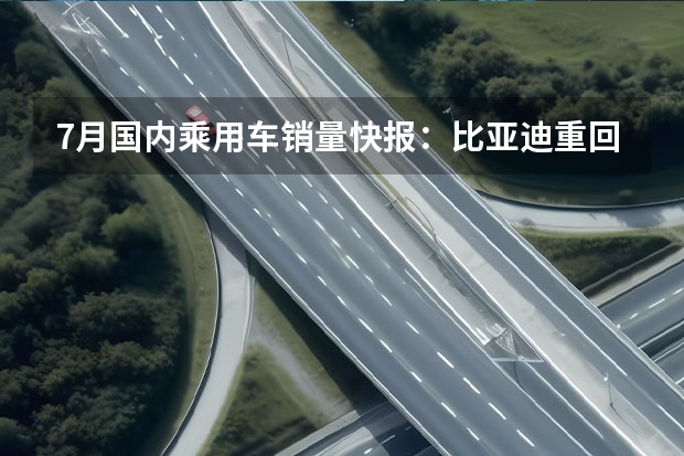 7月国内乘用车销量快报：比亚迪重回销量榜首 比亚迪海鸥最新谍照