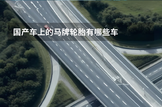 国产车上的马牌轮胎有哪些车