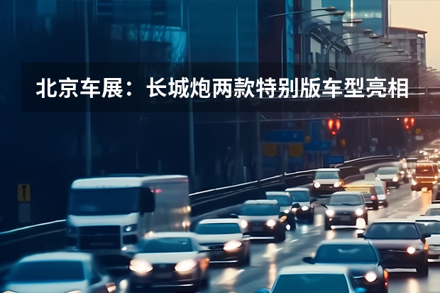 北京车展：长城炮两款特别版车型亮相 一套系统两种形式三个动力