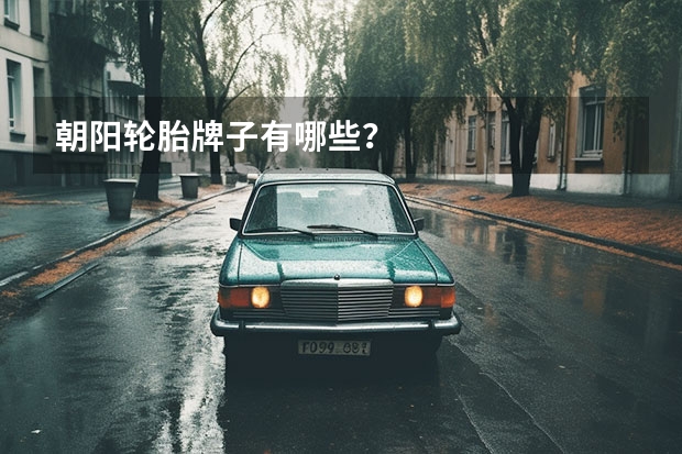 朝阳轮胎牌子有哪些？