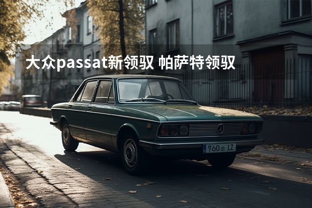 大众passat新领驭 帕萨特领驭异响与配置问题