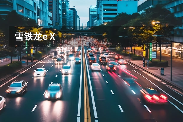 雪铁龙e X