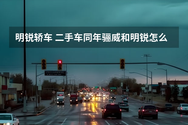 明锐轿车 二手车同年骊威和明锐怎么选