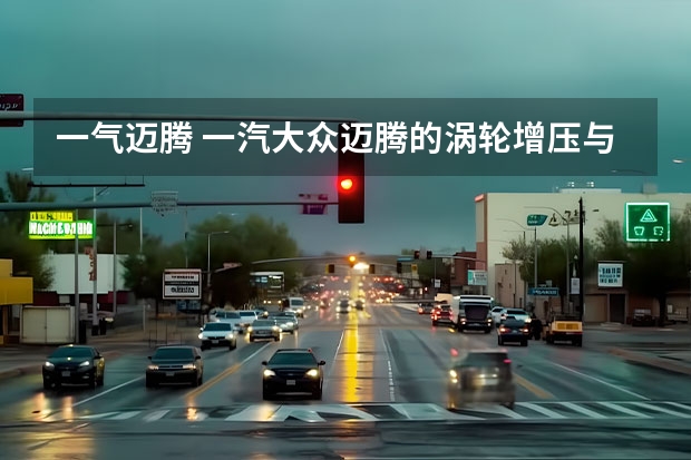 一气迈腾 一汽大众迈腾的涡轮增压与自然吸气，各有什么优缺点？