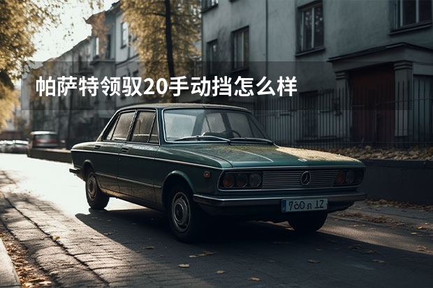 帕萨特领驭2.0手动挡怎么样
