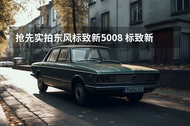 抢先实拍东风标致新5008 标致新408假想图