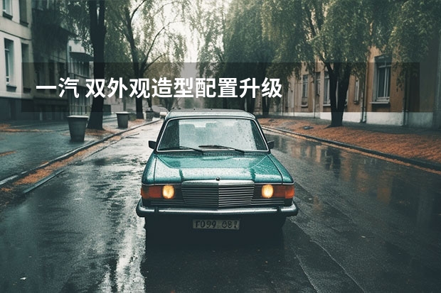 一汽 双外观造型/配置升级