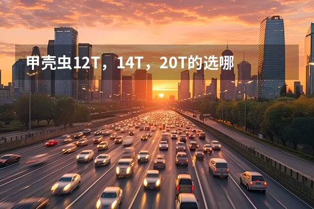 甲壳虫1.2T，1.4T，2.0T的选哪个好？