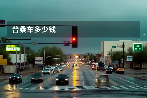普桑车多少钱