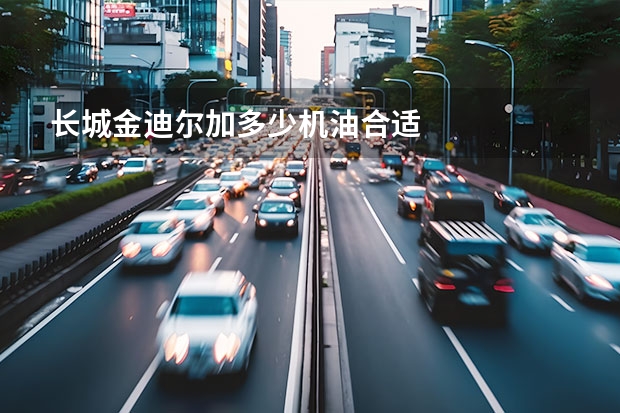 长城金迪尔加多少机油合适