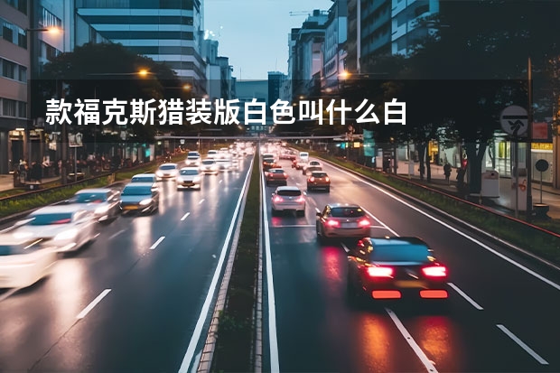款福克斯猎装版白色叫什么白
