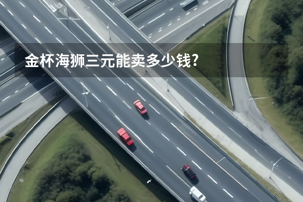 金杯海狮三元能卖多少钱?