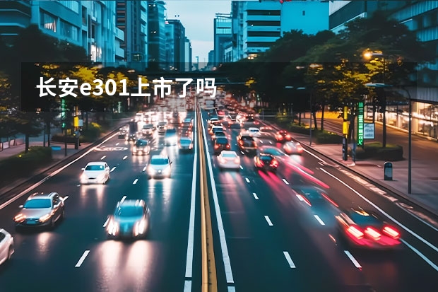 长安e301上市了吗