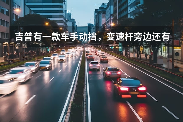 吉普有一款车手动挡，变速杆旁边还有一个操纵杆写了4L N 2H 4H，其中4L和N是什么意思
