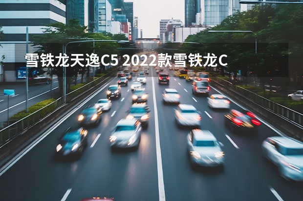 雪铁龙天逸C5 2022款雪铁龙C6共创版3月11日上市