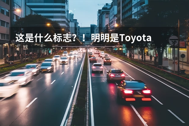 这是什么标志？！明明是Toyota的车种！但却是这样标志！