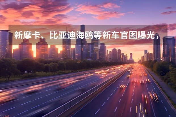 新摩卡、比亚迪海鸥等新车官图曝光，越贵的车官图越美？（车价下调后售23.18万，新摩卡DHT-PHEV正式上市）