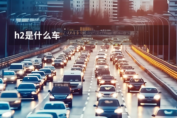 h2是什么车