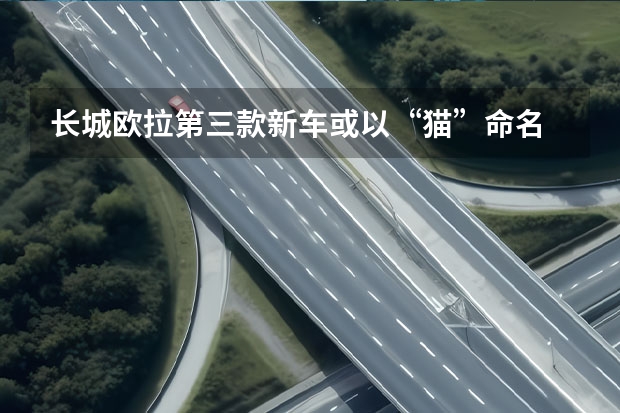 长城欧拉第三款新车或以“猫”命名 长城与SQ集团汇鸿汽车达成合作伙伴关系