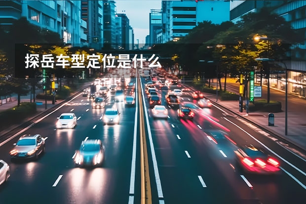 探岳车型定位是什么