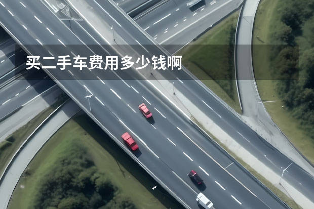 买二手车费用多少钱啊