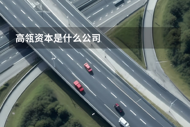 高瓴资本是什么公司