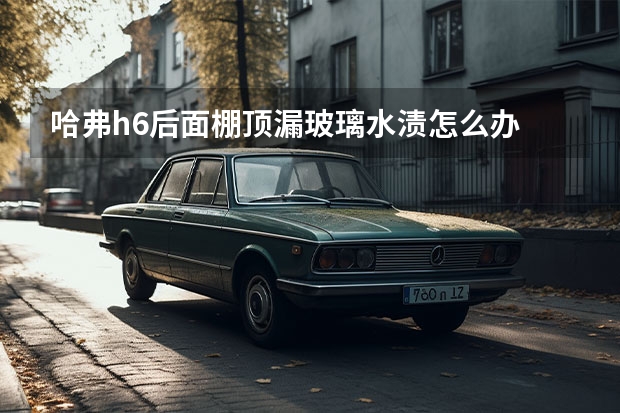 哈弗h6后面棚顶漏玻璃水渍怎么办