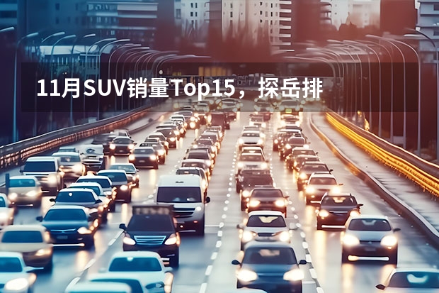 11月SUV销量Top15，探岳排第七，荣放排第九，第一还是它（11月SUV销量出炉，四大“年度销冠”基本锁定，第一名稳如狗！）