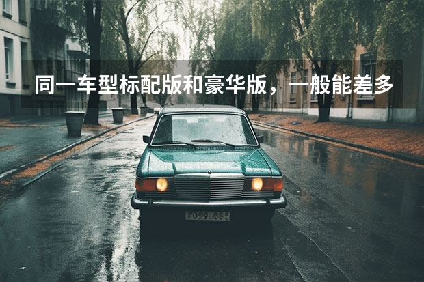 同一车型标配版和豪华版，一般能差多少钱？