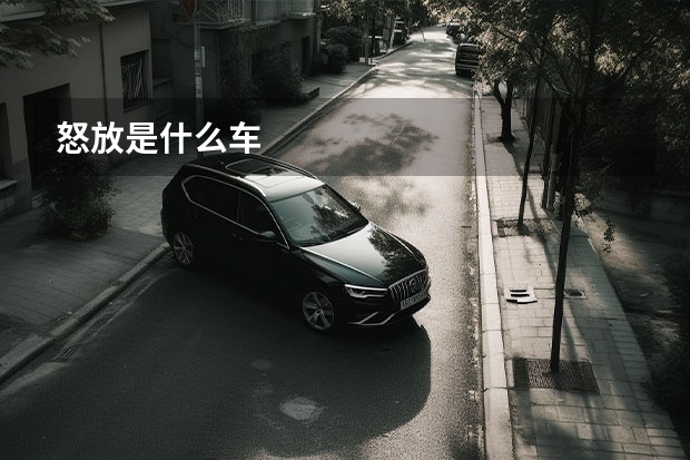 怒放是什么车